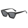 PC ya hisa+CP Wanawake wa Polarized Wanawake #83821