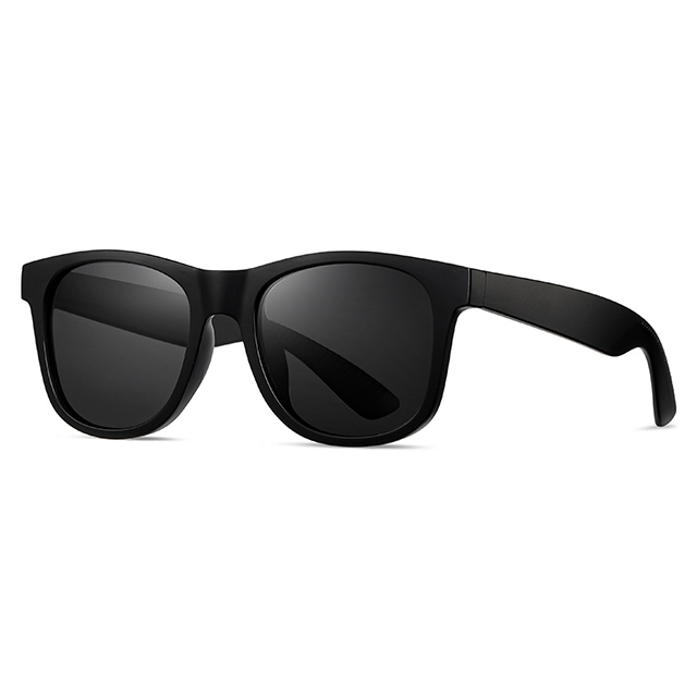 16101 Matte Colors Unisex Wayfarer Plastic Sunglasses