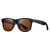 16101 Matte Colors Unisex Wayfarer Plastic Sunglasses