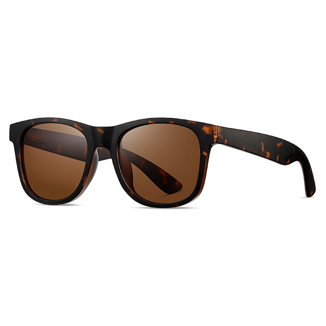 16101 Matte Colors Unisex Wayfarer Plastic Sunglasses