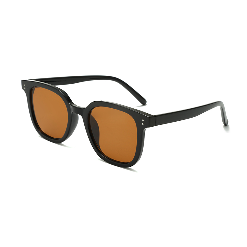 Bidhaa Tayari Wayfarer Sqaure Frame PC Polarized Men/Unisex Sunglasses #3320