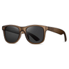 16101 Matte Colors Unisex Wayfarer Plastic Sunglasses