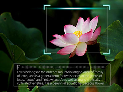 Automatic-image-recognition-of-AI-glasses