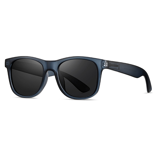 16101 Matte Colors Unisex Wayfarer Plastic Sunglasses