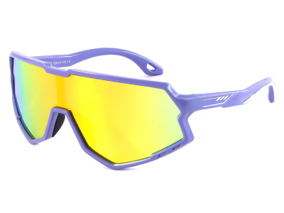 51009-C2-violet-color-kids-sports-goggles