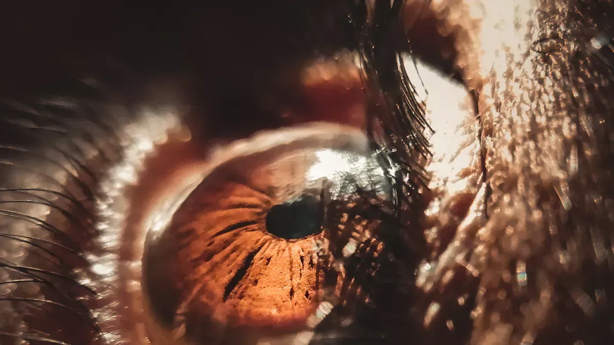 OCT a pokročil&eacute; zobrazovac&iacute; technologie