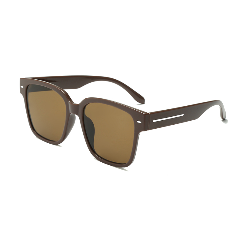 Stock Wayfarer Sqaure Frame Metal Rice Nail Whakapaipai PC Polarized Women Sunglasses #6159