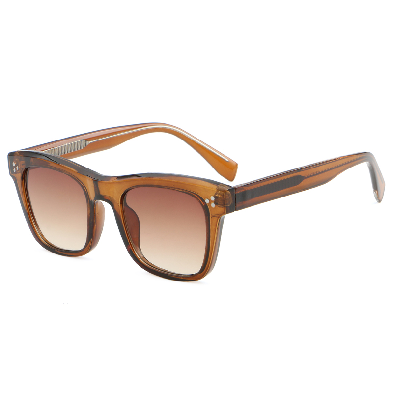 8808 Wayfarer Sinema Tatu Round Metal Rivets Bora Ubora Tr90 Miwani