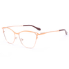 1022 Hinge Hinge Hinge Hinge Phatochromic Hinge ShipePlasses